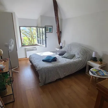 Dans Grande Maison Au Calme Face Aux Pyrénées Avec Salle D'eau Et Wc Privatifs Bed and breakfast *