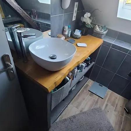 Dans Grande Maison Au Calme Face Aux Pyrenees Avec Salle D'eau Et Wc Privatifs Frühstückspension *