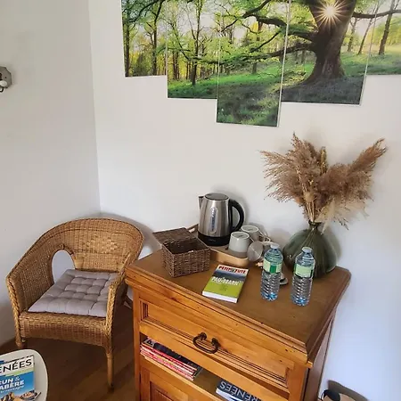 Dans Grande Maison Au Calme Face Aux Pyrenees Avec Salle D'eau Et Wc Privatifs Frühstückspension *