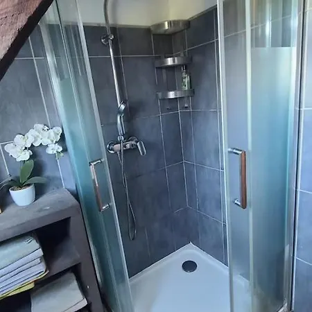 Dans Grande Maison Au Calme Face Aux Pyrénées Avec Salle D'eau Et Wc Privatifs Bernac-Debat